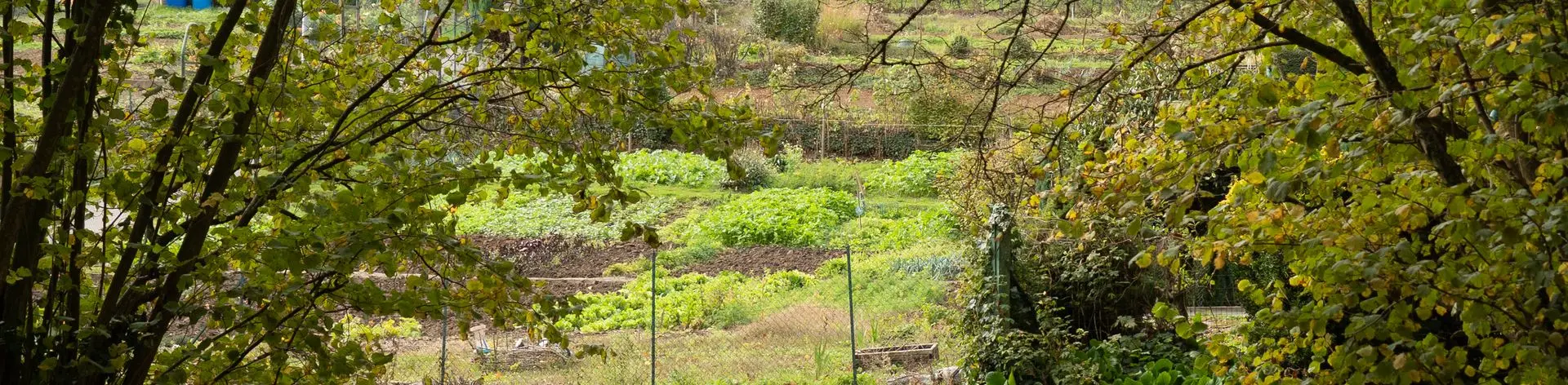 Produits locaux Picardie 