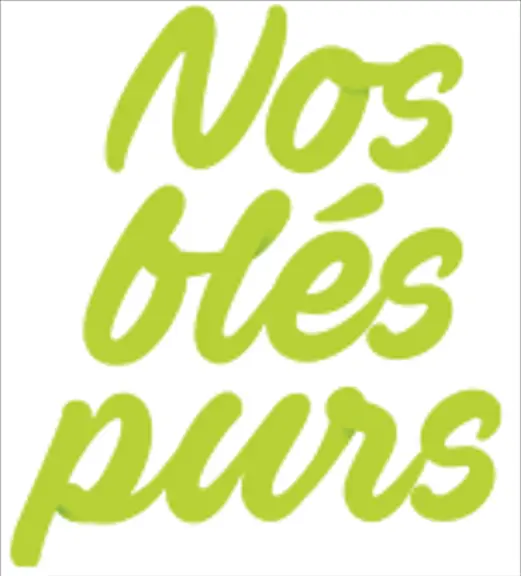 Lasagnes 300g Bio - Nos Blés purs