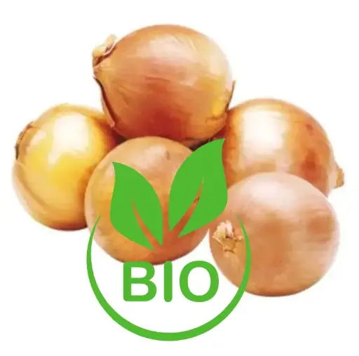 Filet d'oignons jaunes 5kg - Gaec Buyse