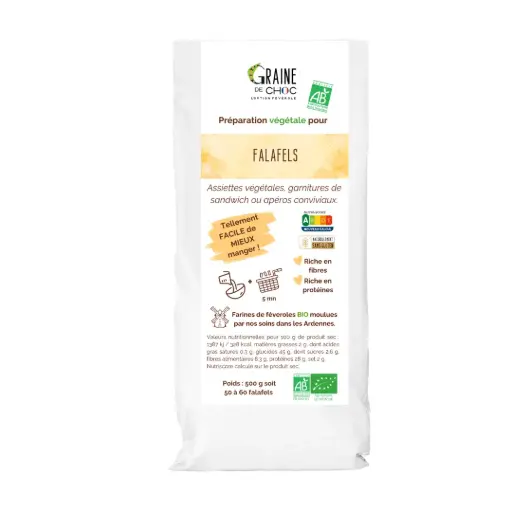 Préparation pour falafels BIO 500g - Graine de choc