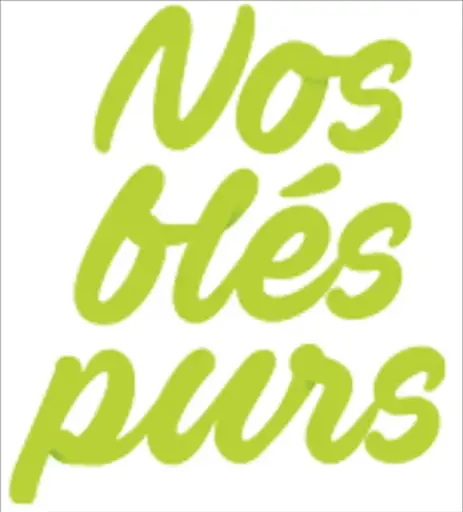 Lasagnes 300g Bio - Nos Blés purs