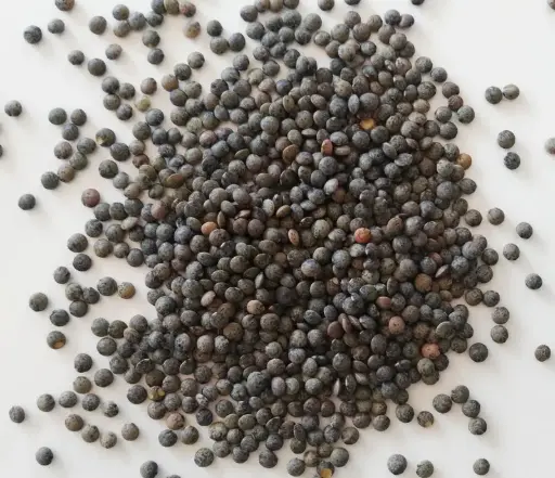 Lentilles vertes 500g bio - Ferme Pleine de vie